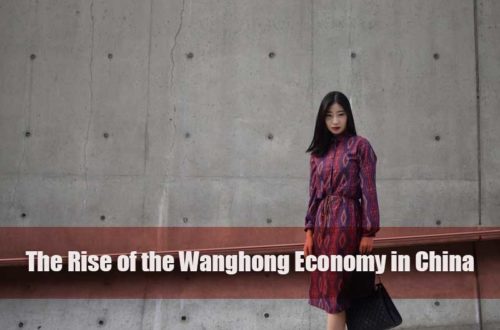 The Rise of the Wanghong Economy in China