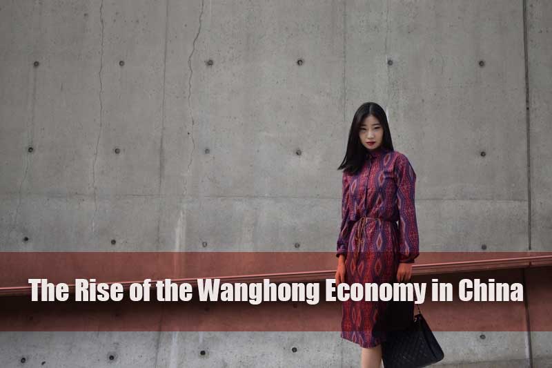 The Rise of the Wanghong Economy in China